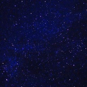 Meet your Posher, Tania